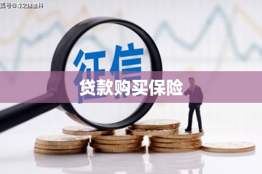 梅山贷款购买保险
