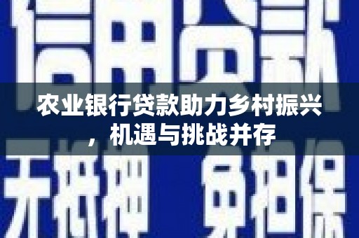 梅山农业银行贷款助力乡村振兴，机遇与挑战并存