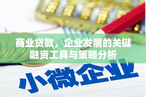 梅山商业贷款，企业发展的关键融资工具与策略分析