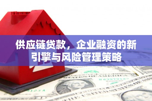 梅山供应链贷款，企业融资的新引擎与风险管理策略