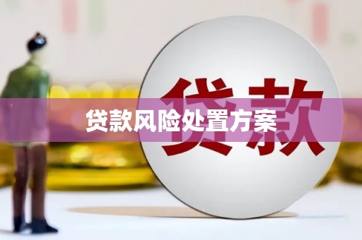 梅山贷款风险处置方案