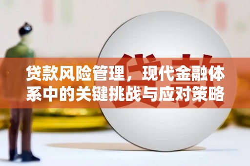 梅山贷款风险管理，现代金融体系中的关键挑战与应对策略
