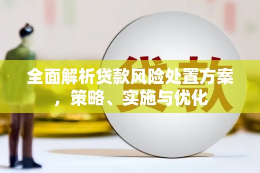 梅山全面解析贷款风险处置方案，策略、实施与优化