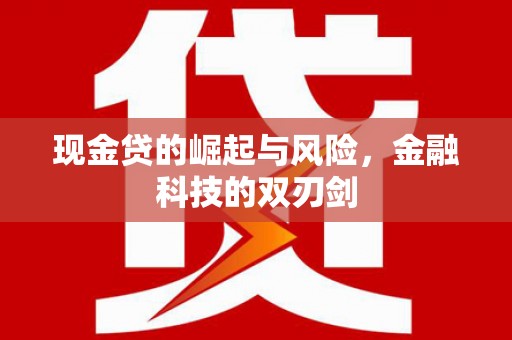 梅山现金贷的崛起与风险，金融科技的双刃剑