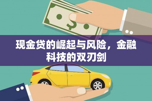 梅山现金贷的崛起与风险，金融科技的双刃剑