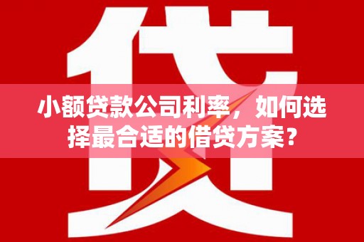 梅山小额贷款公司利率，如何选择最合适的借贷方案？
