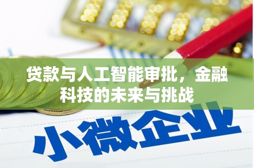 梅山贷款与人工智能审批，金融科技的未来与挑战