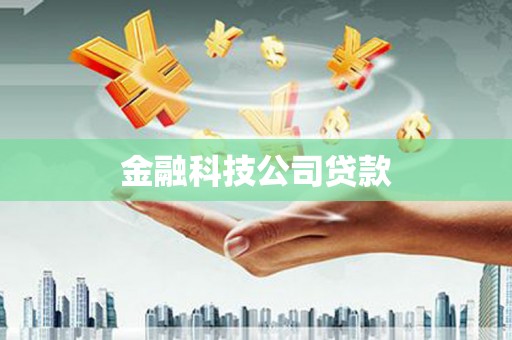 梅山金融科技公司贷款