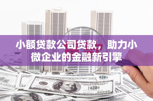 梅山小额贷款公司贷款，助力小微企业的金融新引擎