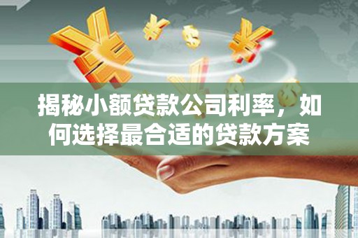 梅山揭秘小额贷款公司利率，如何选择最合适的贷款方案