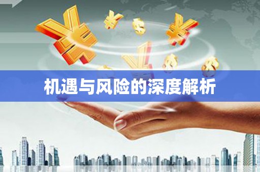 梅山机遇与风险的深度解析