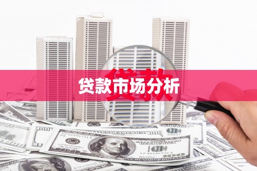 梅山贷款市场分析