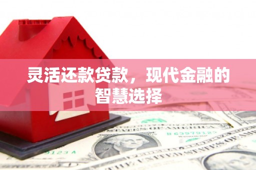 梅山灵活还款贷款，现代金融的智慧选择