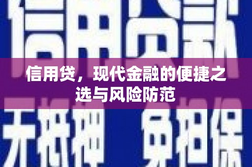 梅山信用贷，现代金融的便捷之选与风险防范