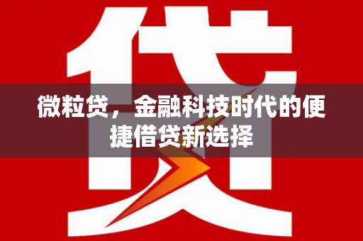 梅山微粒贷，金融科技时代的便捷借贷新选择