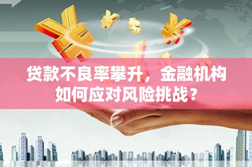 梅山贷款不良率攀升，金融机构如何应对风险挑战？