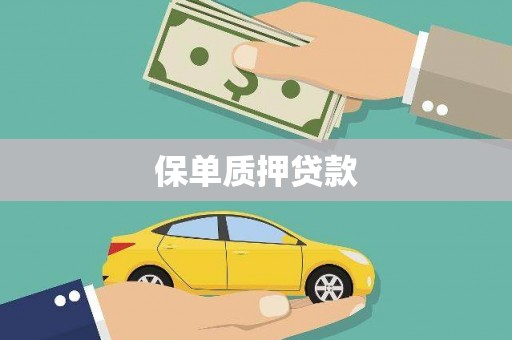 梅山保单质押贷款