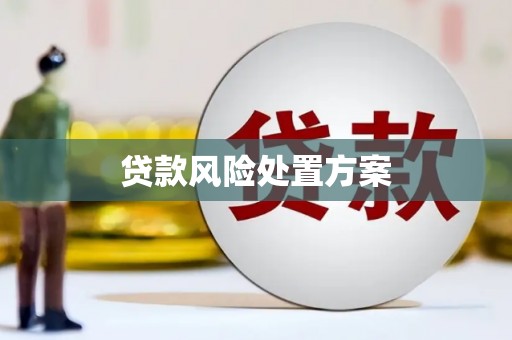 梅山贷款风险处置方案