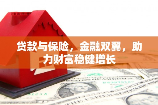 梅山贷款与保险，金融双翼，助力财富稳健增长