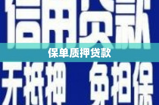 梅山保单质押贷款