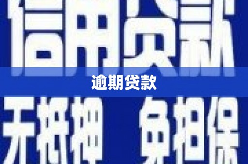 梅山逾期贷款