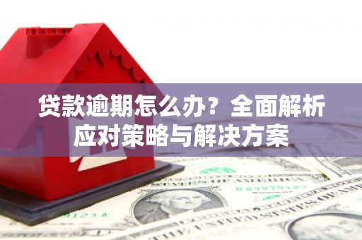 梅山贷款逾期怎么办？全面解析应对策略与解决方案