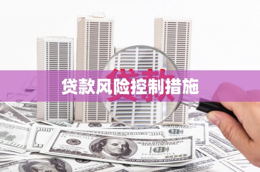 梅山贷款风险控制措施