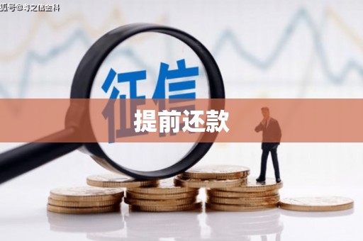 梅山提前还款