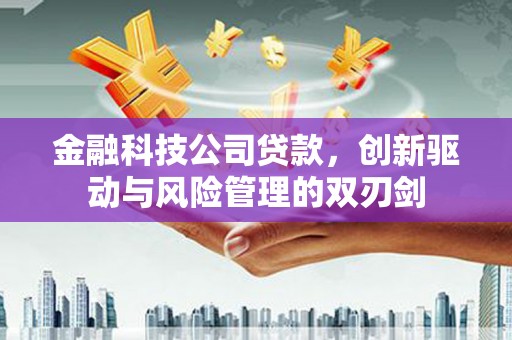 梅山金融科技公司贷款，创新驱动与风险管理的双刃剑